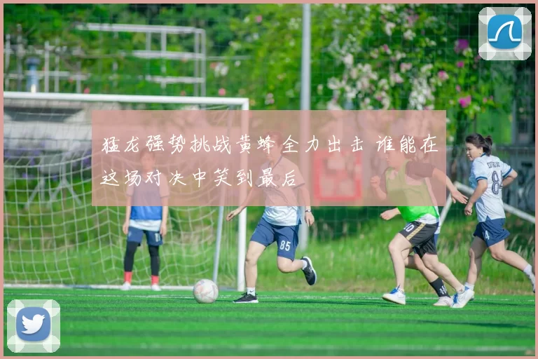 猛龙强势挑战黄蜂全力出击 谁能在这场对决中笑到最后