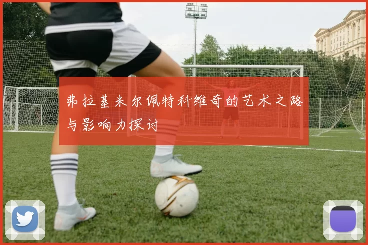 弗拉基米尔佩特科维奇的艺术之路与影响力探讨
